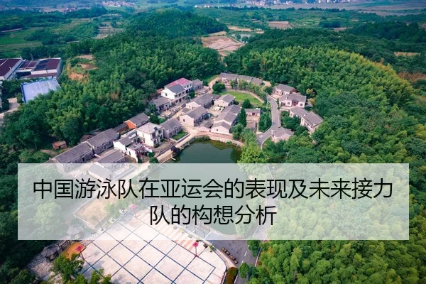 中国游泳队在亚运会的表现及未来接力队的构想分析