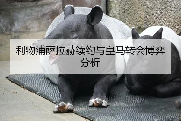 利物浦萨拉赫续约与皇马转会博弈分析